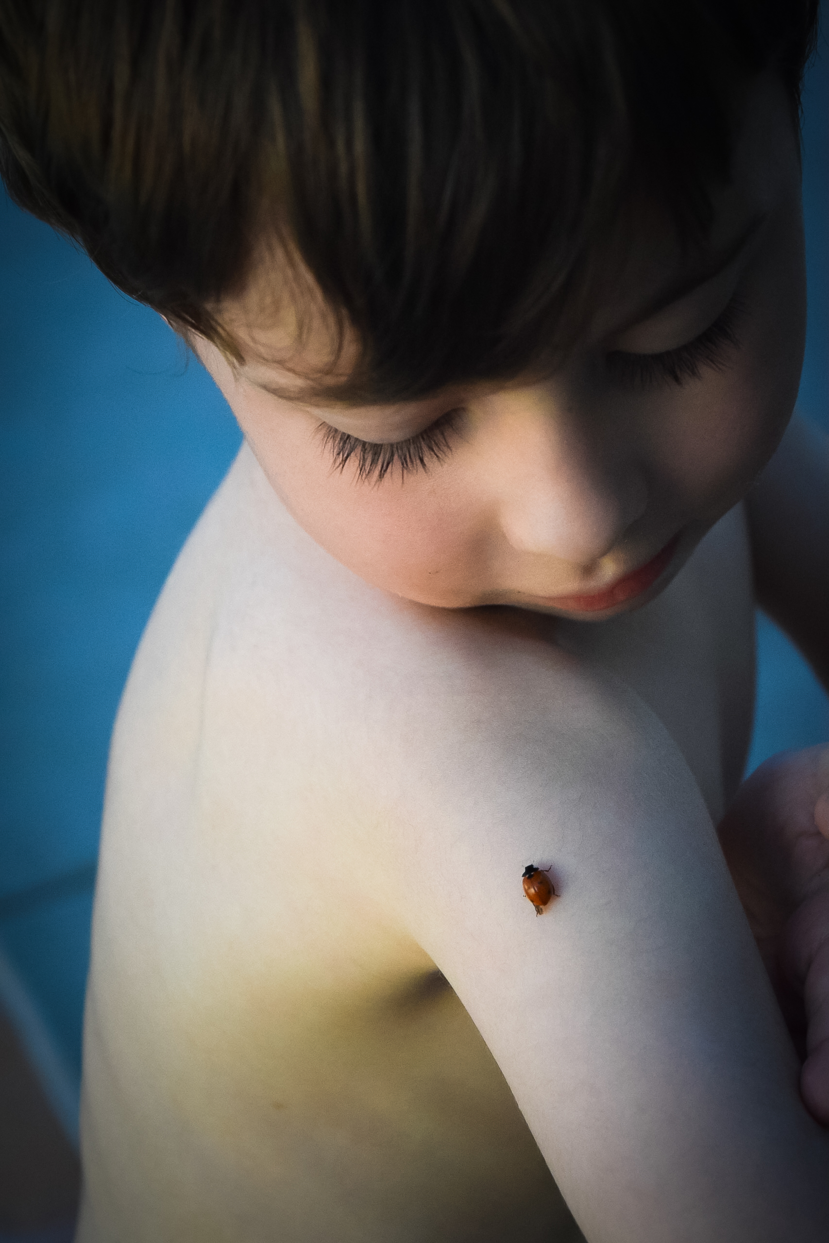 ladybug on a boy's shoulder